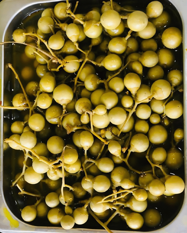طرشى 2